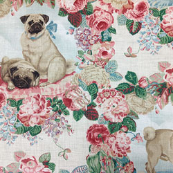 Pugs